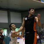 versilia basket versilia basket