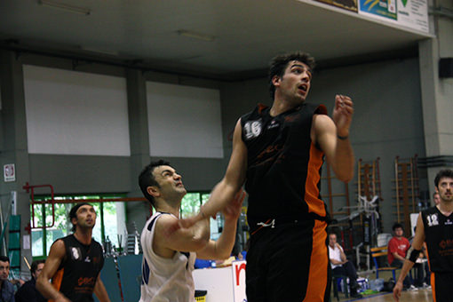 Versilia Basket, limitata a 98 posti la capienza della palestra Tommasi