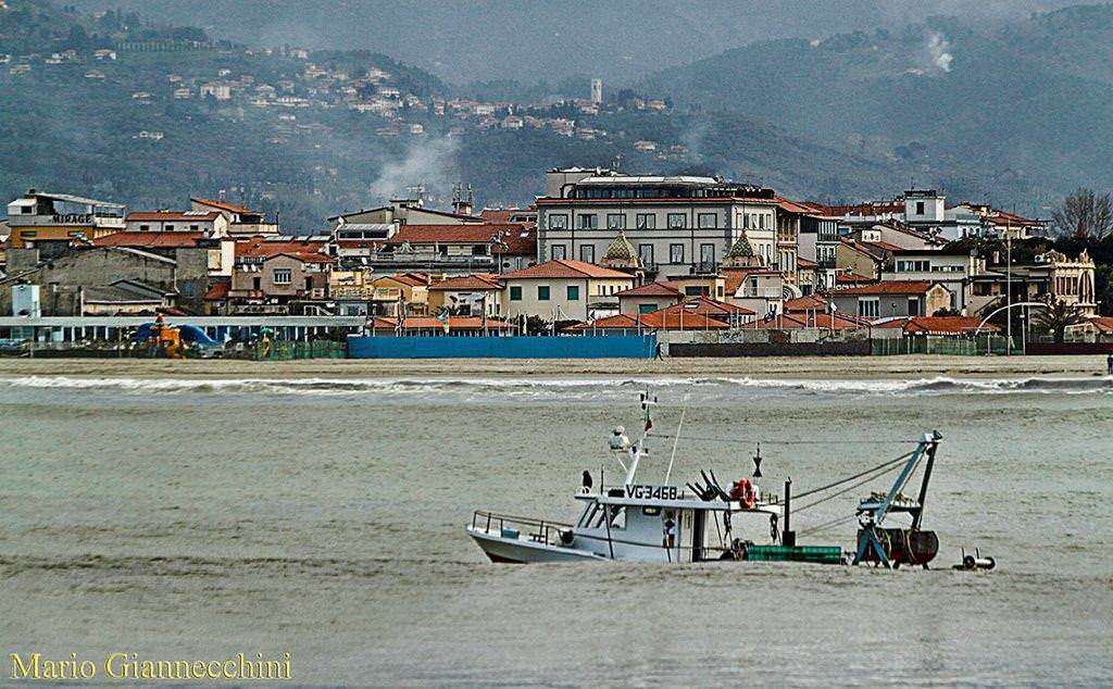 (foto Mario Giannecchini)