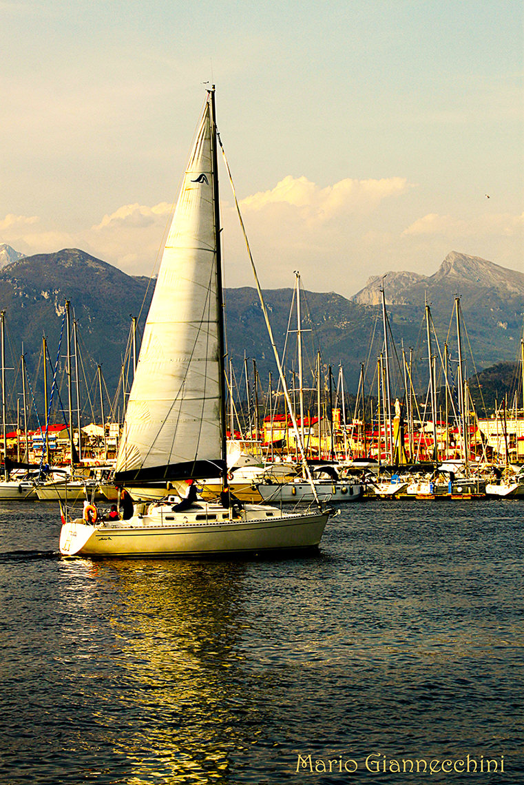 La vela per i ragazzi: importante accordo tra Club Nautico e AssoNautica