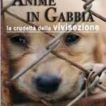 ANIME IN GABBIA