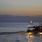 peschereccio, pesca, mare, viareggio, tramonto (foto Raffaele Righini)