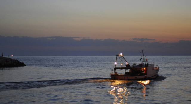 Attività di sensibilizzazione di Enel per la pesca in sicurezza