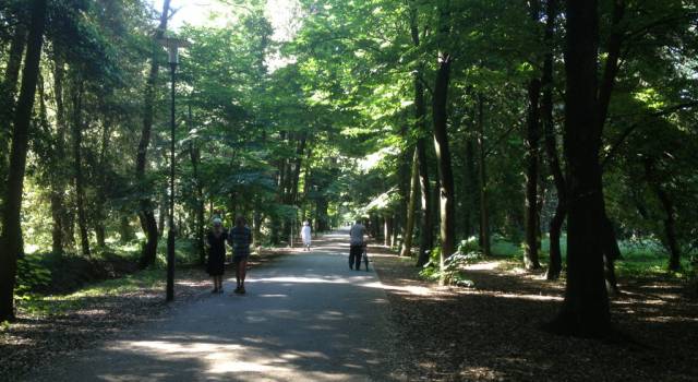 Vede apparire gli agenti in Pineta, sniffa coca e scappa. Arrestato