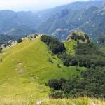 MONTAGNA
