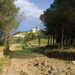 PARCOA1