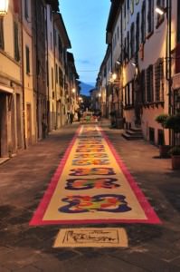 Scatta e vinci con i tappeti di segatura di Camaiore 3 Scatta e vinci
