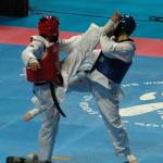 Taekwondo interregionali Genova