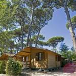 bosco-verde-camping (1) bosco verde camping 1