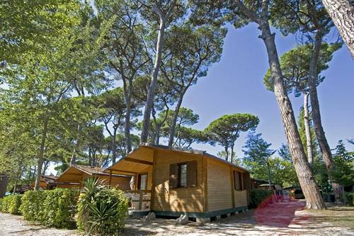 Occupazione del Bosco Verde a Torre del Lago, in programma lo sgombero