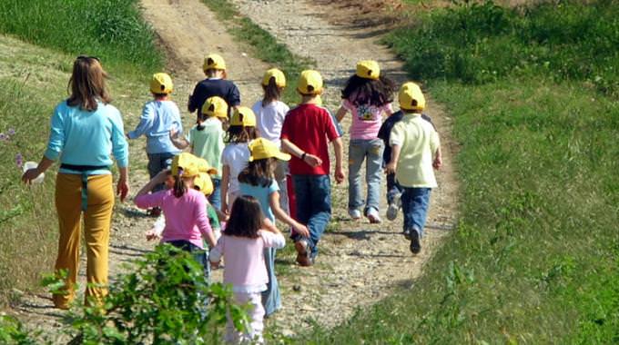 INGLESE IN FATTORIA, A PIAN DI LAGO L’AZIENDA A MISURA DI BAMBINO