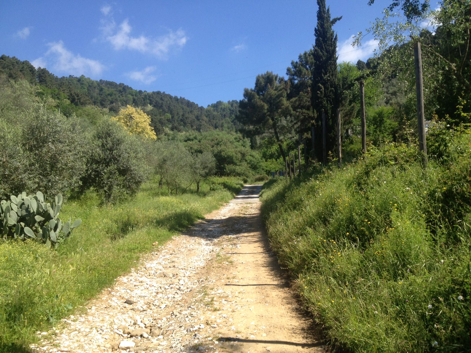 “No al traffico motorizzato sui sentieri di montagna”