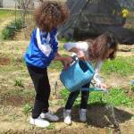 lucca coldiretti bambini nell orto1