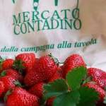 mercato contadino