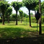 pineta caranna