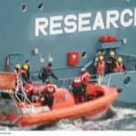 sea shepherd