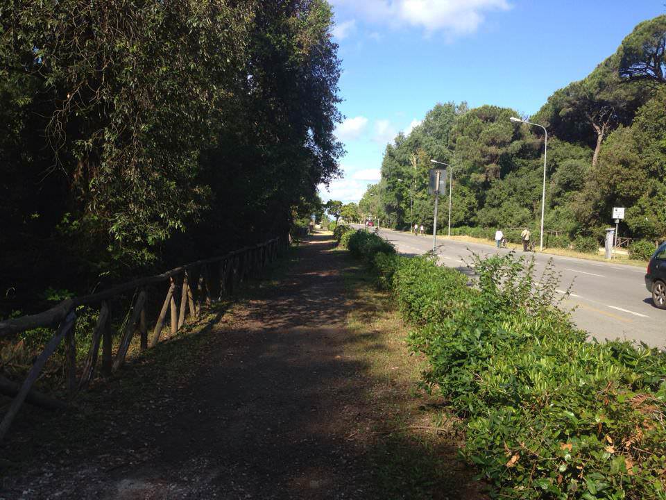 VERDE PUBBLICO E DECORO URBANO. AL VIA I LAVORI