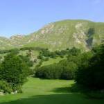 ALPE DI SUCCISO