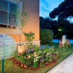 Fiori Shakespeare La versiliana Copia