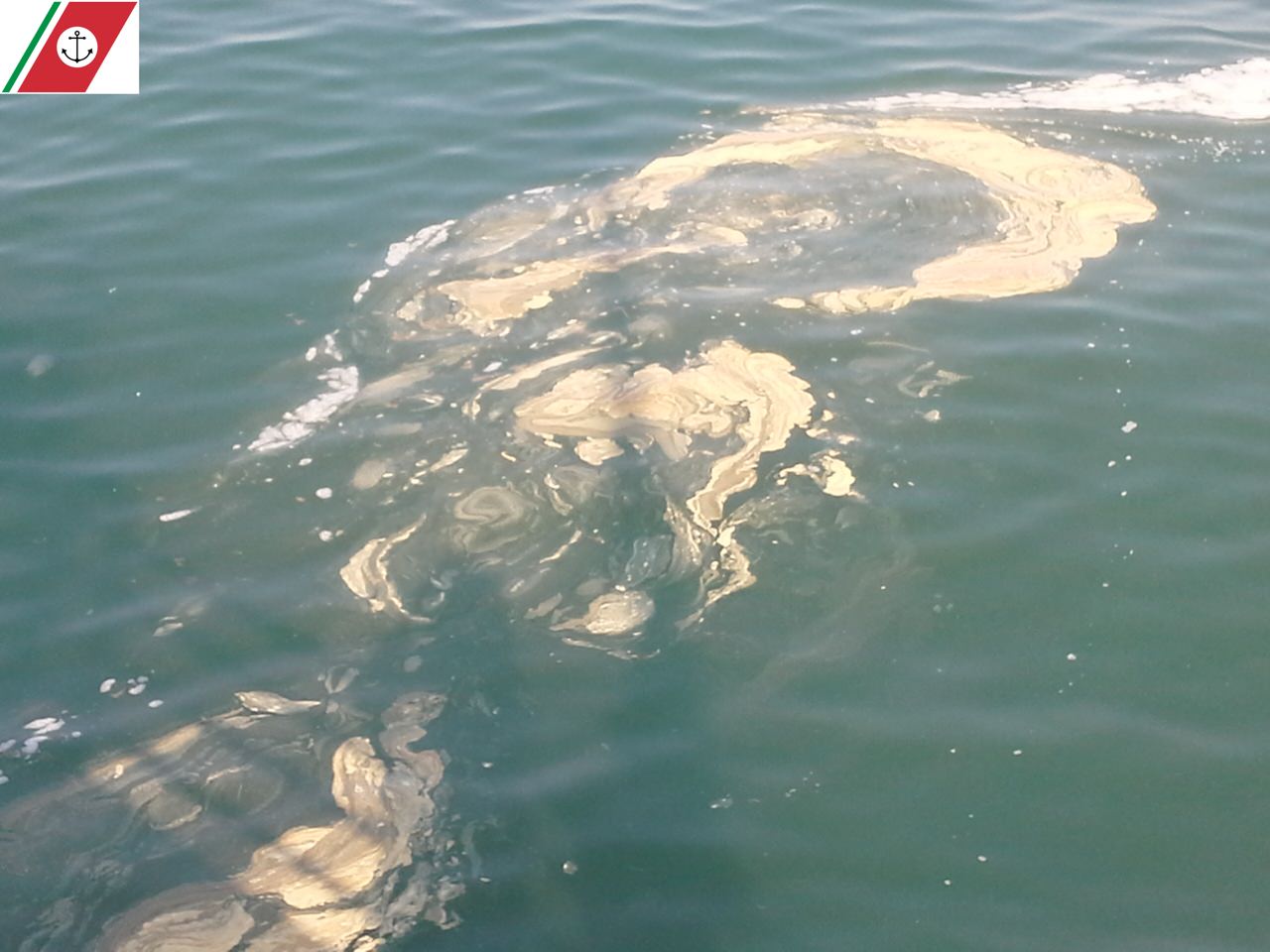 Acqua di mare sporca. Colpa di un’alga