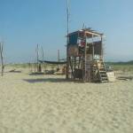 "Vogliamo chiarezza dal Comune di Viareggio sul bando per i bagnini alla Lecciona" 1 (foto Vt)