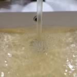 acqua gialla (foto Pomella)