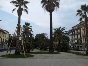 Pedonalizzazione di Via IV Novembre a Viareggio, già raccolte oltre 100 firme