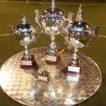 torneo rivincita
