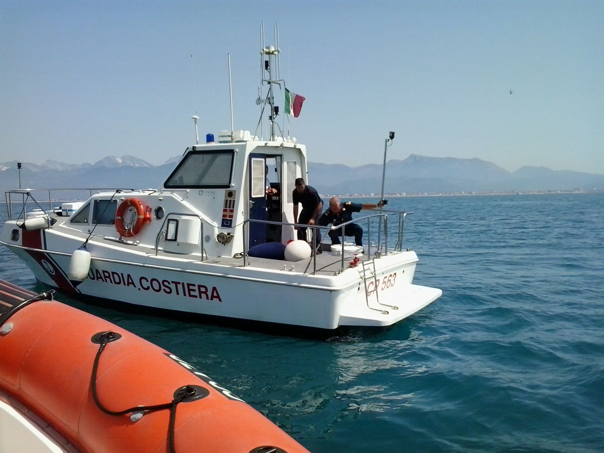 Viareggio, un esemplare di testuggine soccorsa in mare dalla Guardia Costiera