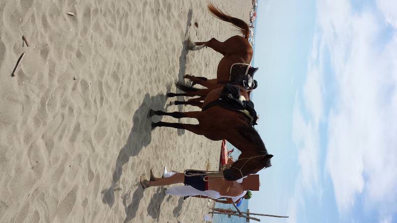 Cavalli, altalene e venditori abusivi: sequestri e multe in spiaggia a Viareggio