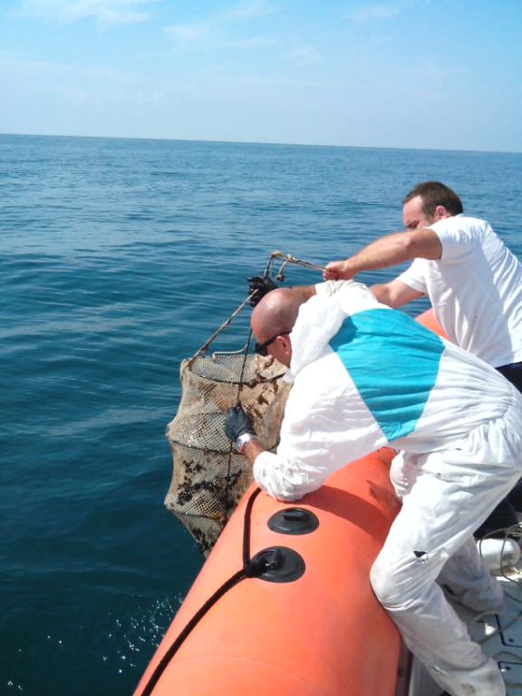 Trappole per polpi abusive in mare: interviene la Guardia Costiera