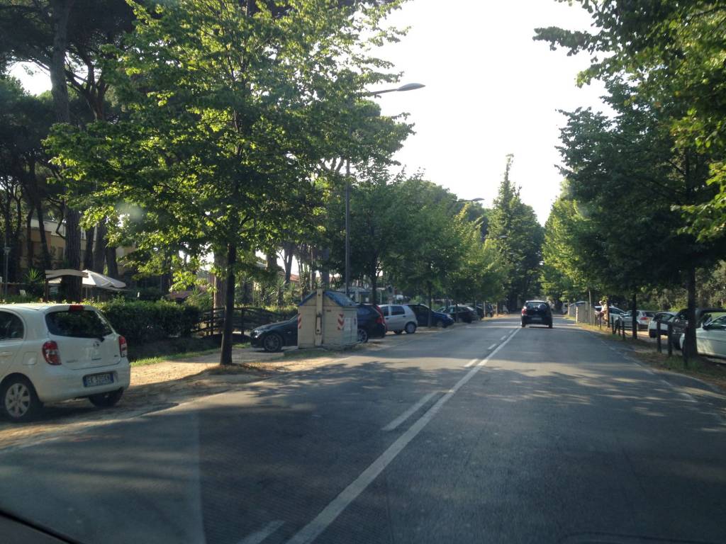 Trans Viareggio