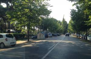 Trans Viareggio