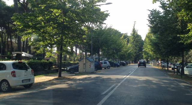 Vento forte, chiusi viale dei Tigli e tratto di Passeggiata