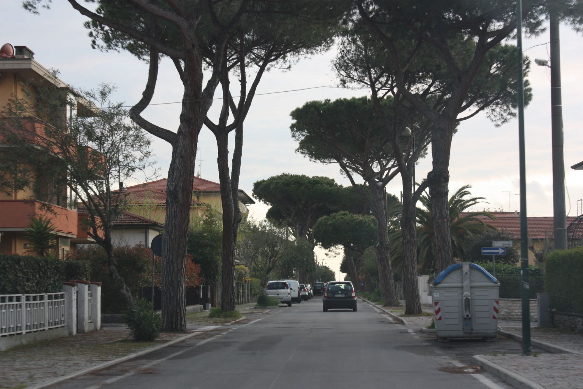 Partecipazione: Baldini (Pdl) contesta i confini di Lido di Camaiore