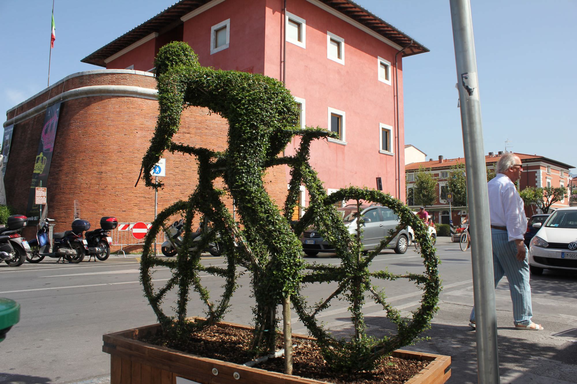 Mondiali di ciclismo, installata una pianta in Piazza Garibaldi al Forte