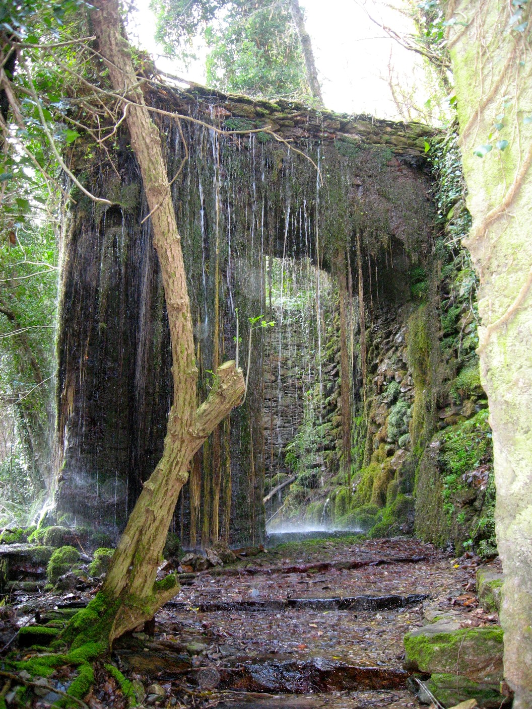 Un angolo di paradiso tra le Apuane: apre il parco archeo-minerario delle Molinette