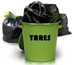 tares massarosa