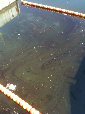 Sostanze oleose nel Canale Burlamacca. I controlli di Arpat