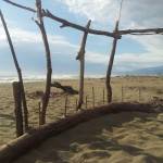 Colpi di sole e bagnanti in difficoltà: giornate di super lavoro per i bagnini della spiaggia libera 1 foto VT