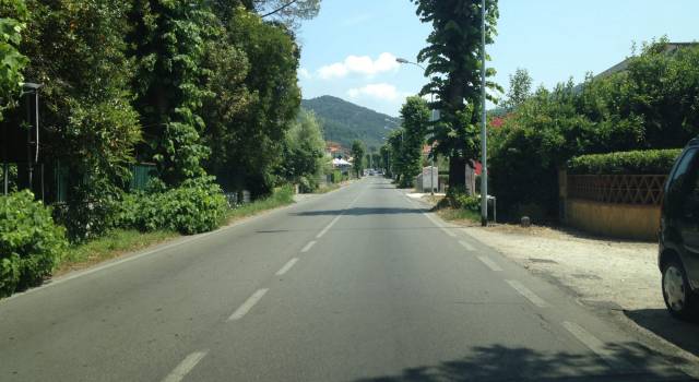Due giorni di chiusura di via Sarzanese per la rimozione degli alberi pericolanti