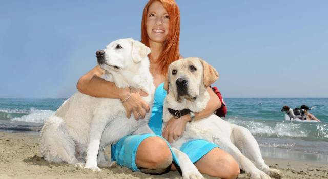 L&#8217;onorevole Brambilla visita una dog beach di Lido e presenta il &#8220;Manifesto Animalista&#8221;