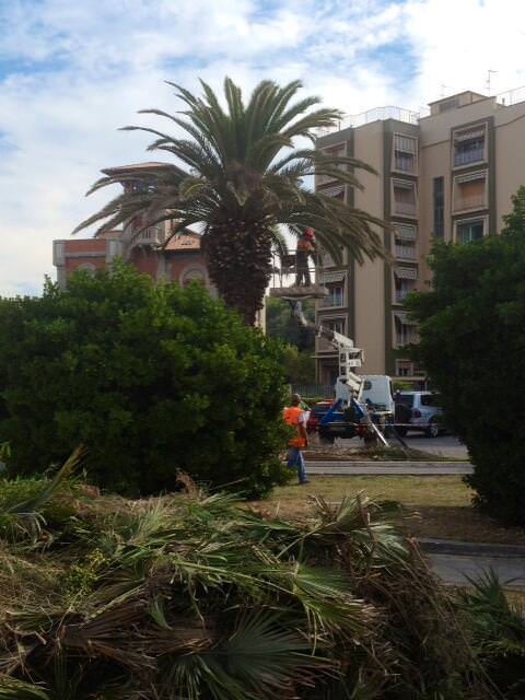 Viareggio, operai del verde pubblico in azione a torre del lago e nelle scuole cittadine