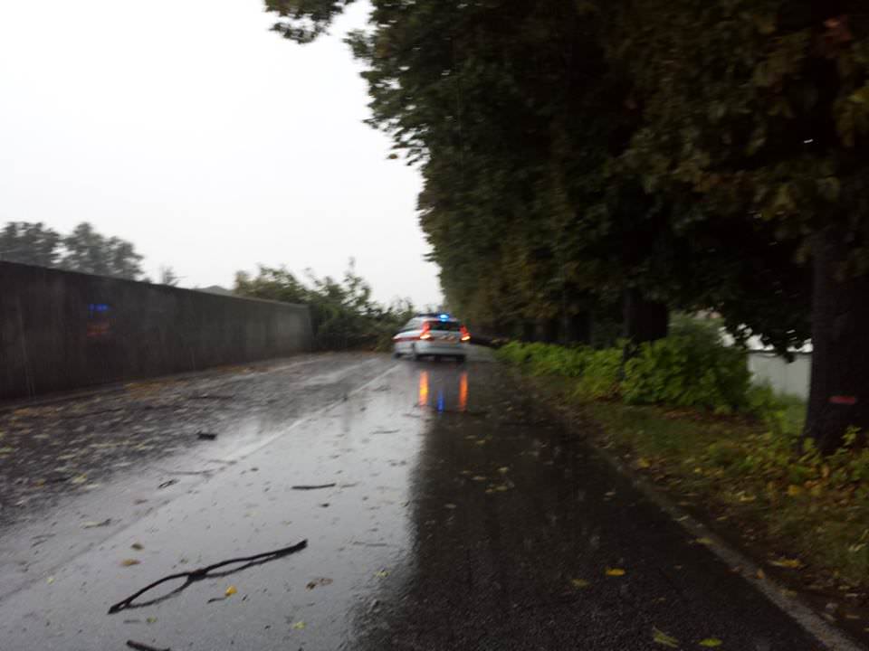 Cade un albero su un chiosco al mercato. Un altro blocca la Provinciale per Camaiore