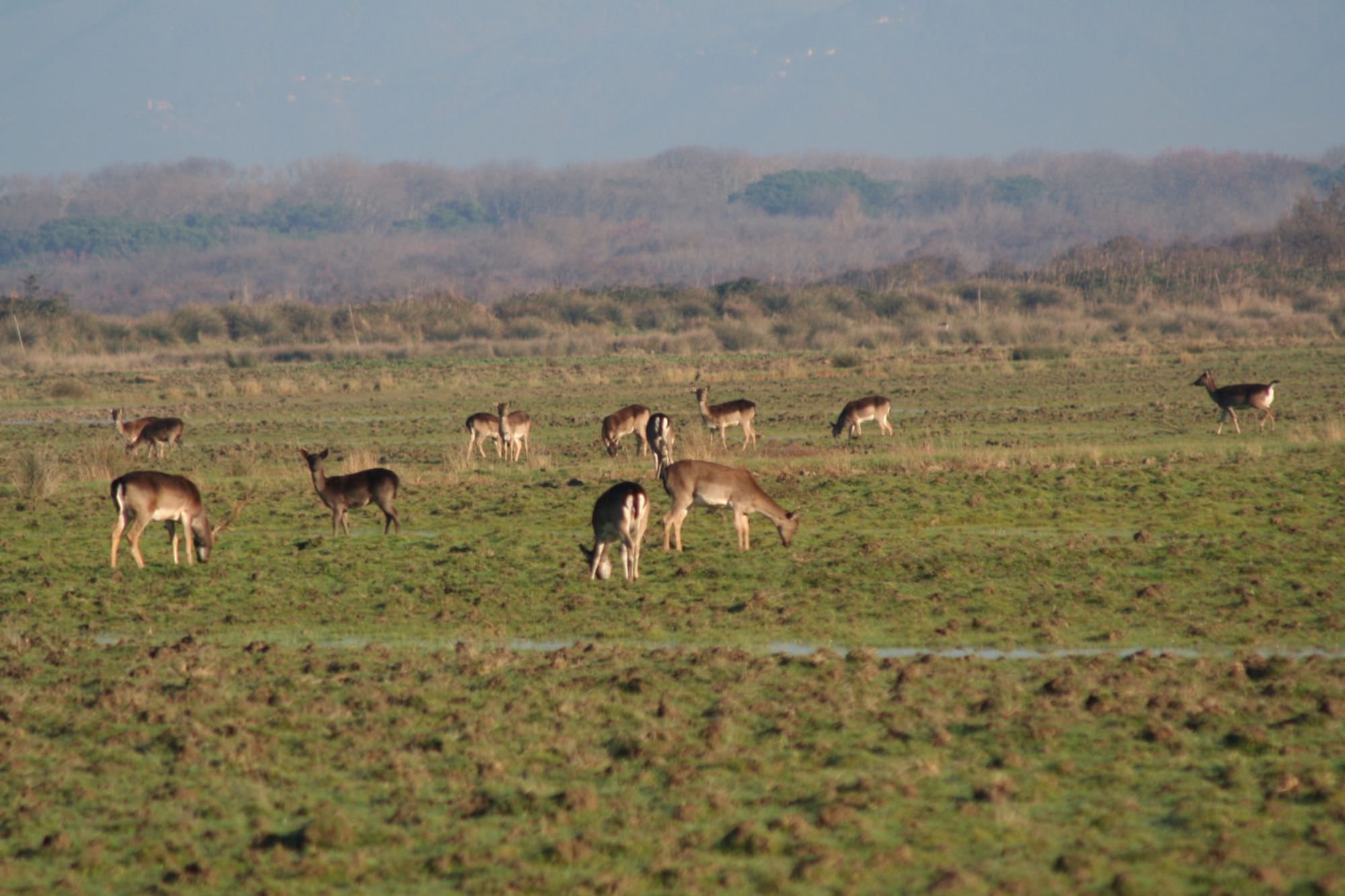 Un opuscolo per scoprire le bellezze del Parco