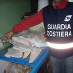 sequestro pesce guardia costiera