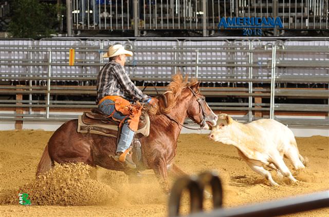 Luca Terzi campione europeo di working cow horse