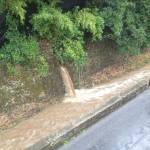 Cade un fulmine in Passeggiata, scoppia l'incendio. Danni e disagi per il maltempo in Versilia 2 foto VersiliaToday