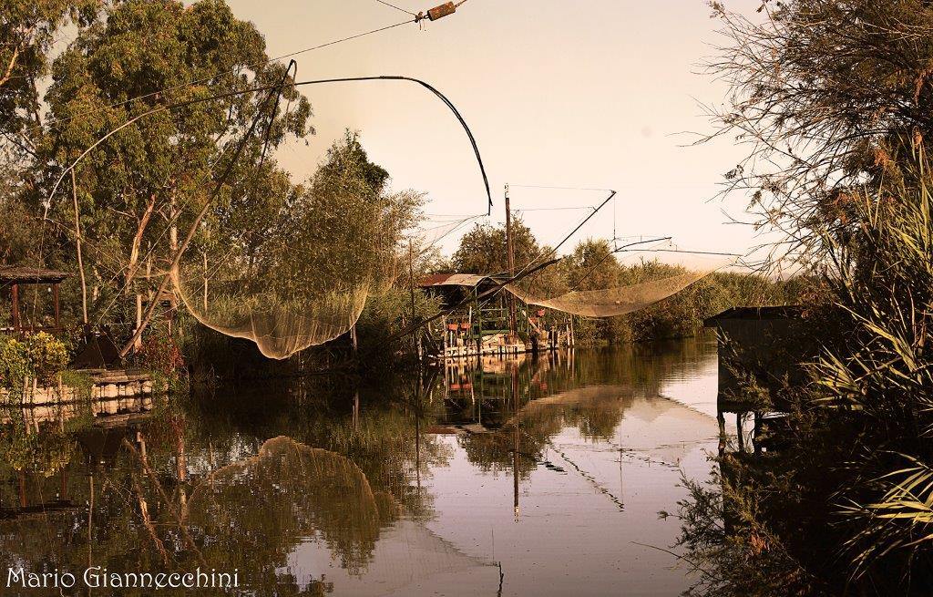 Più di 20 progetti per far rinascere il lago di Massaciuccoli