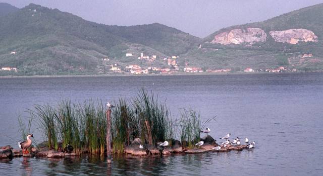 Parco, “Tenetevi le vostre poltrone, noi scendiamo dal carrozzone”